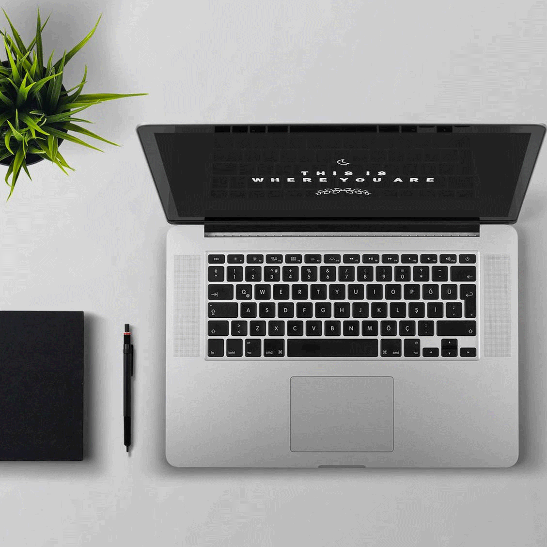 STARTUP SHOPIFY STORE